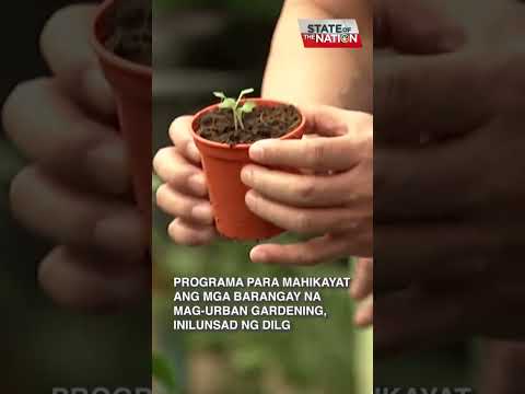 Video: Urban Gardening Sa Mga Apartment - Paano Magpalaki ng Hardin Sa Isang Apartment