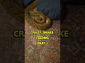 Part 1: My reticulated python went NUTS over food last night