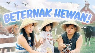 YUKA-CHAN SEHARIAN MAIN DI PETERNAKAN HEWAN! | vlog