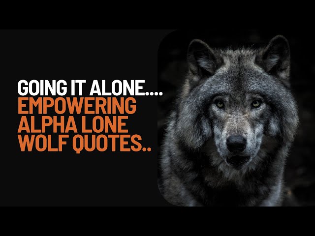 Wolf Quotes wolf-quotes
