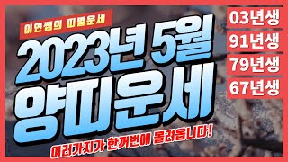 [띠별운세] 5월 양띠, 감사합니다! 라고 말해야하는 이유ㅣ2023년 5월 정사월 양띠운세ㅣ91년생 신미생 …