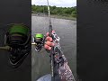 Клюнуло что-то здоровое 🤯 #казахстан #fishing #рыбалка #рыбак #камчатка #горбуша #балык #отдых