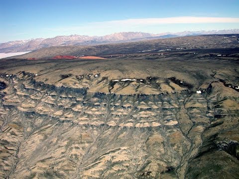 Eocene Vertebrate Fauna and Flora in Canada&rsquo;s High Arctic