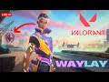 🔴 LIVE - WAY TO UNLOCK WAYLAY #shorts #shortsfeed #valorant #gaming #viral #trending