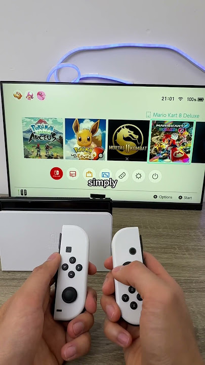 Does it work with nintendo lite ?