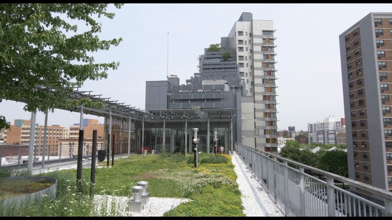 Greening - Sustainability and Environmental Impact