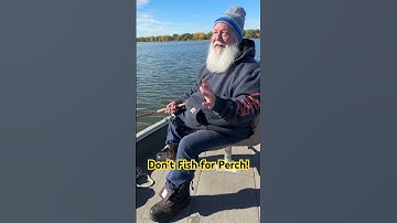 Perch Fishing on Lake Winnebago. #walleye #fishing #perch