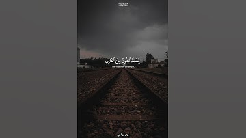 القارئ الشيخ ياسر الدوسري | سورة النساء