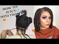 How To Do Mini Twists On Natural Hair As A Protective Style - No Added Hair Needed! (DETAILED)