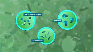 Τι είναι τα postbiotics , ISAPP educational video