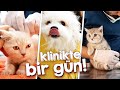 Klinikte BİR GÜN! Eğlence ve Bilgi Dolu - Karışık Kaset VLOG @DoBiDa 271