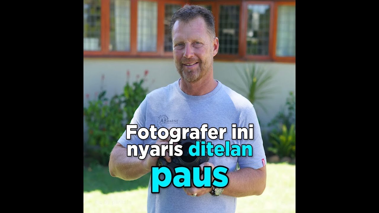 Fotografer Diserang Paus Saat Bertugas kesehatan masyarakat ui