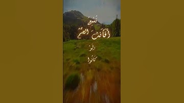 #قرآن #المصحف #قران #لايك #اكسبلور #قرآن كريم راحه نفسيه 🌻