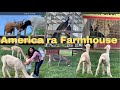 America ra farmhouse petting zoo visit odia travel vlog mu america ru odia jhia vlogger