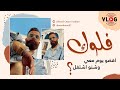 فلوق #2 | اقضو يوم معي ! و شنو أشتغل ؟؟