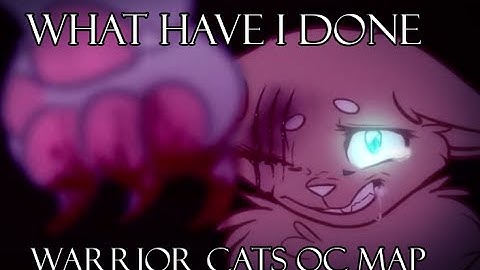 What have I done - warrior cats oc mep - COMPLETE