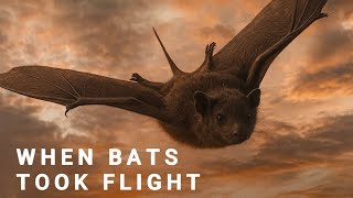 The Evolution of Bats
