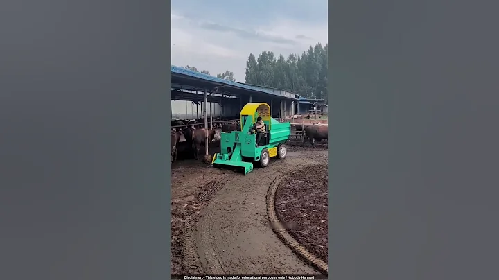 Automated Cow Farm in China Makes MILLIONS Growing Mushrooms! 🍄💰