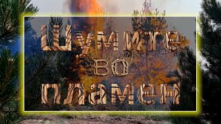 картинка: Шумите во пламен