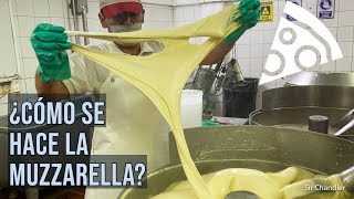 ¿Cómo se hace el queso muzzarella?