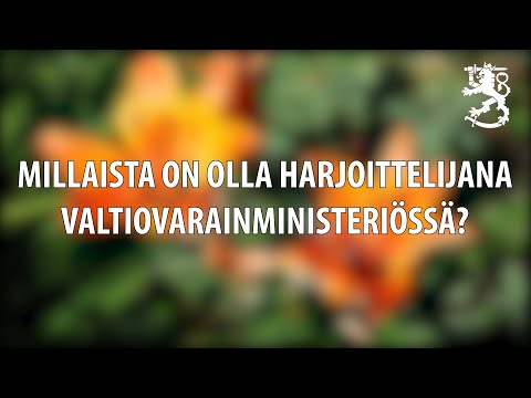 VM:n kesäharjoittelijat 2020. Millaista on olla harjoittelijana valtiovarainministeriössä?