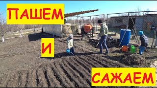 ДЕРЕВЕНСКИЕ БУДНИ / Сажаем лук / Допахал участок