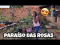 VLOG/ FUI NO ORQUIDÁRIO/ ROSAS DO DESERTO LINDAS 😍