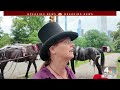 Runaway carriage horse crashes in Central Park, critically hurting passenger | NBC New York