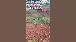 Story WA (lagu melayu)