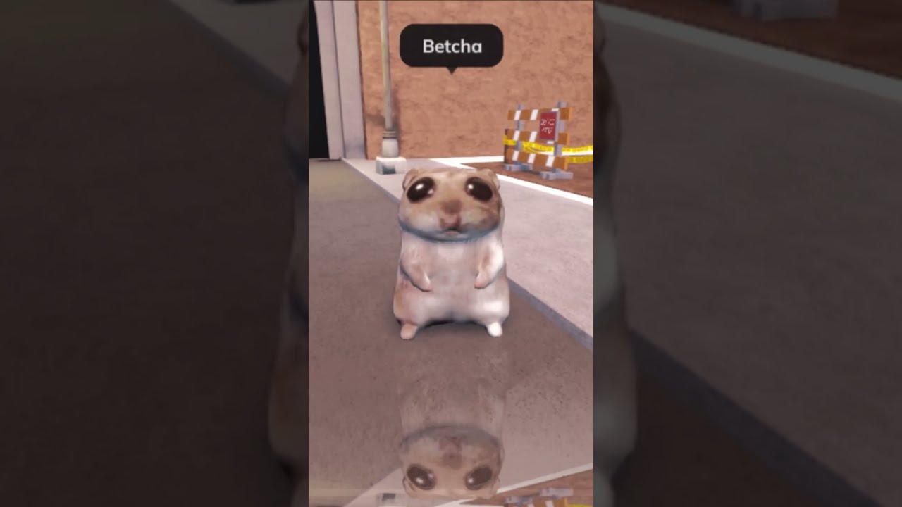 Damn Mami Roblox Shorts Subscribe