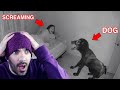 ALGO ESTÁ MAL CON SU PERRO - (Vídeo-Reacción de TERROR)