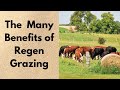The many benefits of regenerative grazing  hart hagan