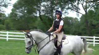 US Pony Club B and C3 Test June 2020   Cross Country
