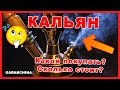 Купить кальян в Египте. Как выбирать? Сколько стоит?