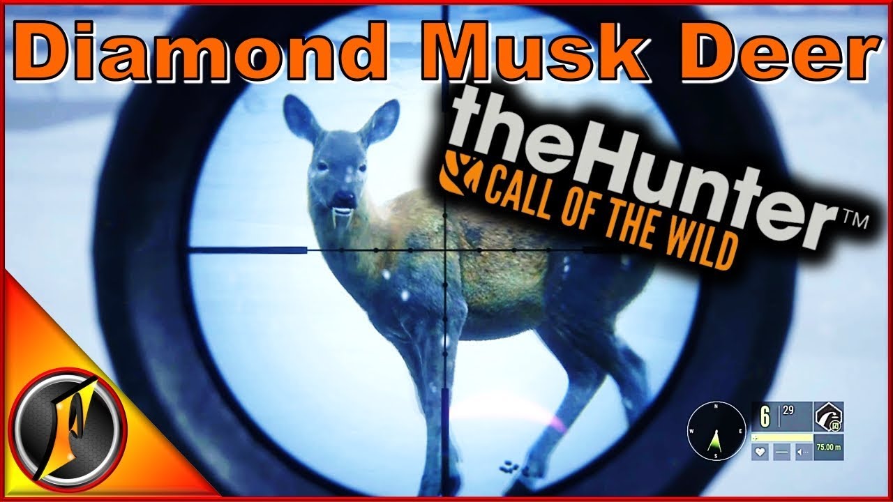 hunter call of the wild diamond hunter call of the wild diamond