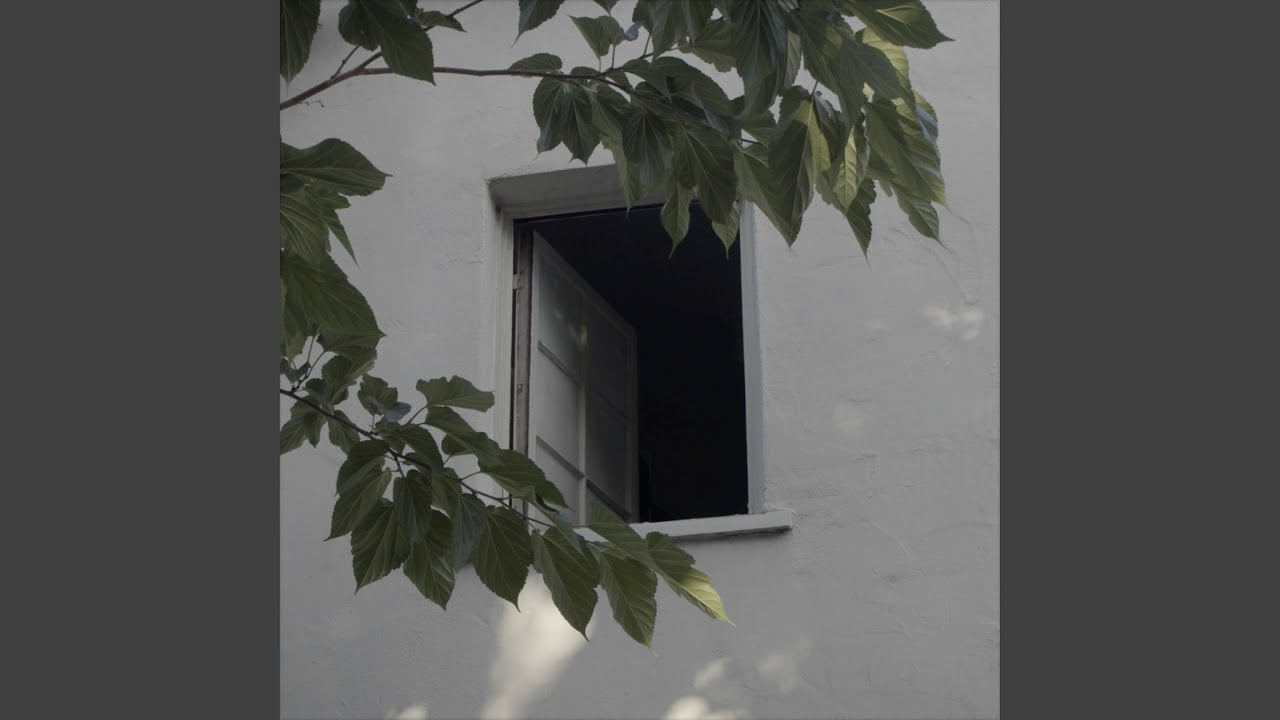 Watch thru the window on YouTube Watch thru the window on YouTube