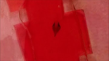Bio-inspired Soft Robot