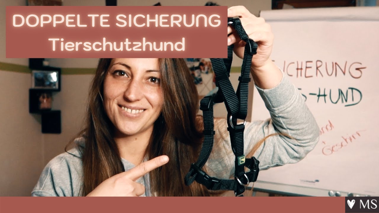Produktbild von Algenfütterungsclip – Algenhalter, Doppelte Sicherung | Sicherheit
