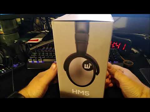 Brainwavz HM5 Headphones Review