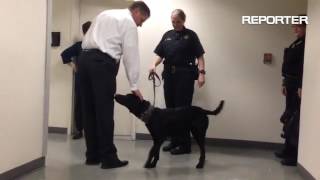 K9 Retirement: @SolanoSheriff correctional officers say goodbye to jail K9, "Dui" after 5 years of s