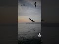 هيثم يوسف ولك بعديش