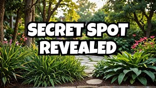 Wilmington's HIDDEN GEM You Never Knew Existed!