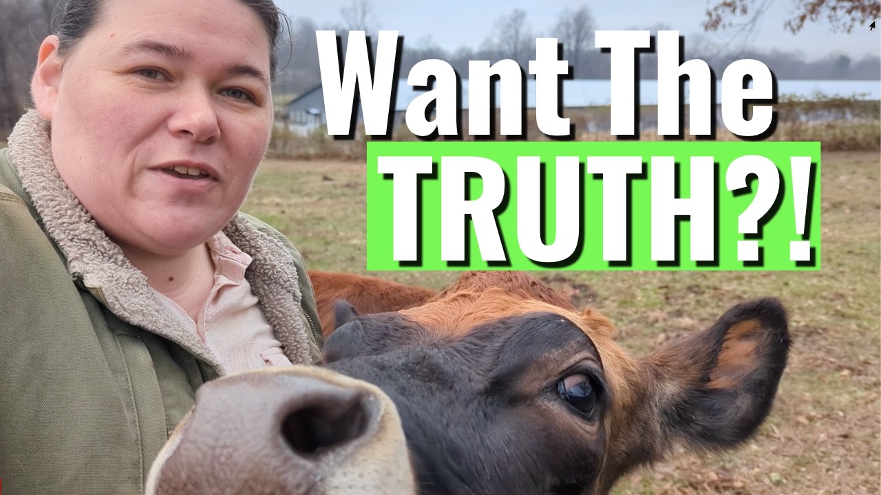 Before You Train Your 1st Milk Cow (Beginner Mistakes to AVOID) -PODCAST