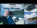 Video for " Silhouette Island" , video, Seychelles,