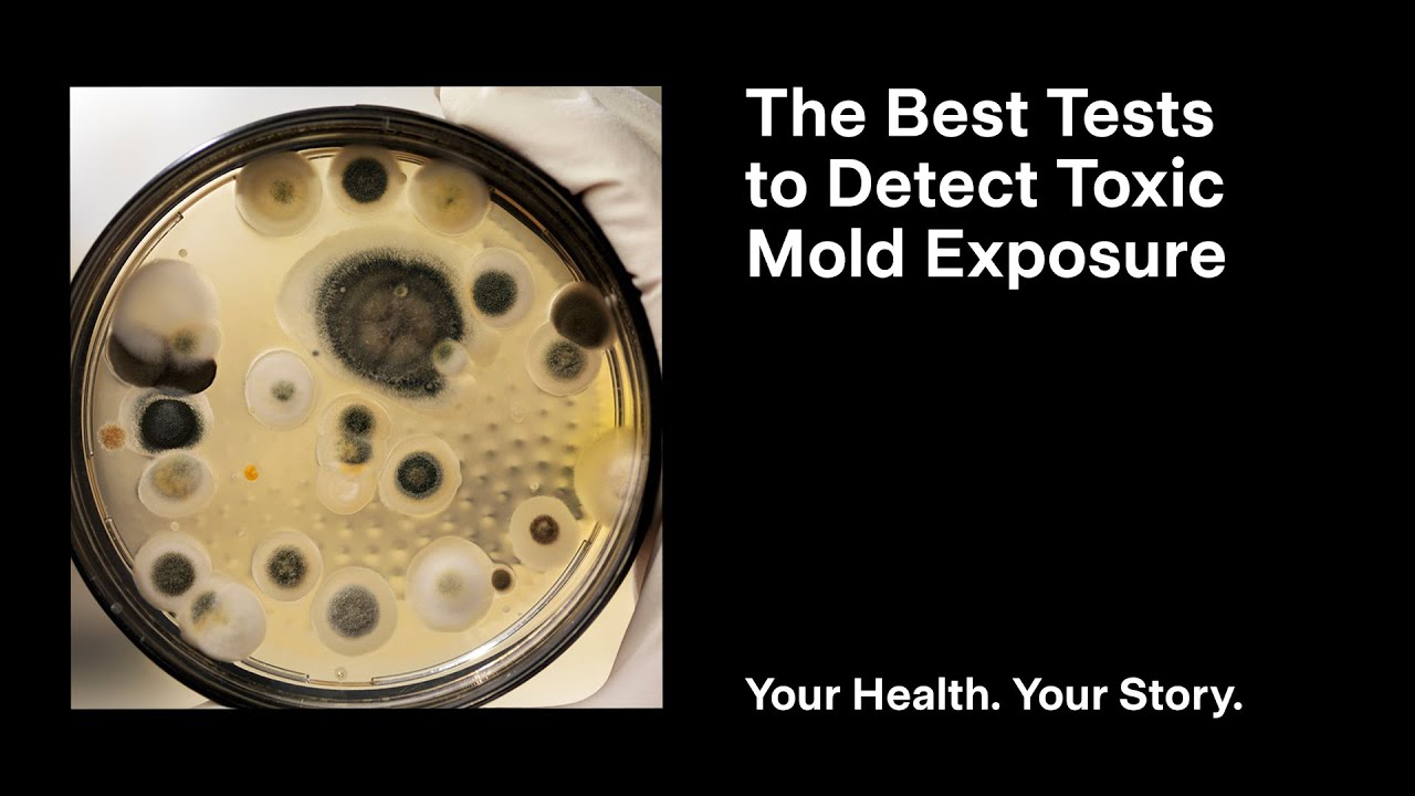The Best Tests to Detect Toxic Mold Exposure - YouTube