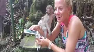 Colleen Monkey Bite - Indonesia, Ubud Monkey Forest