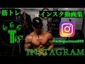 【筋トレ】インスタの筋トレ動画集(はい！手抜きですww)