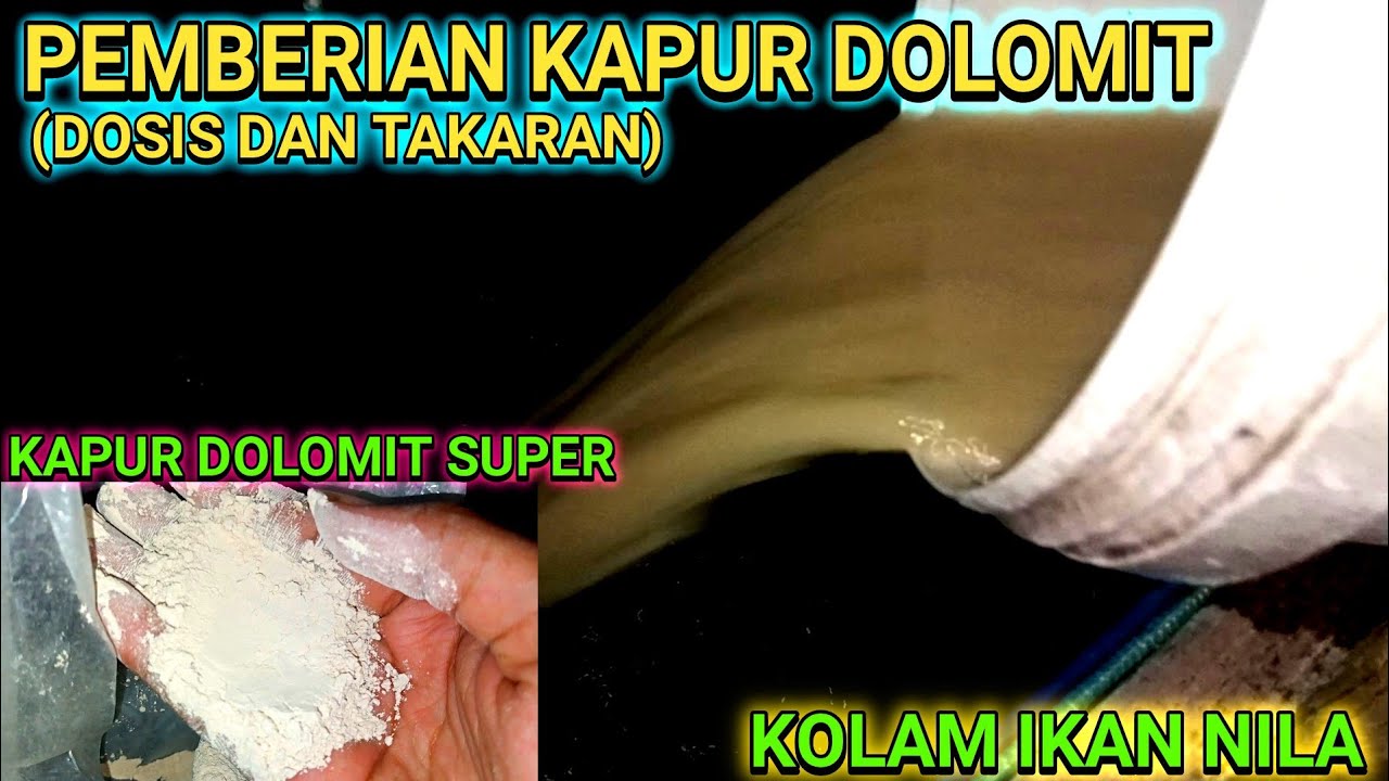 Optimalisasi Dosis Kapur Dolomit untuk Kesehatan Kolam Ikan Anda Optimalisasi Dosis Kapur Dolomit untuk Kesehatan Kolam Ikan Anda