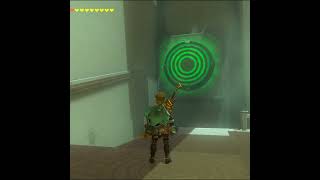 Tears of the kingdom Legal Cheat #shorts #zelda