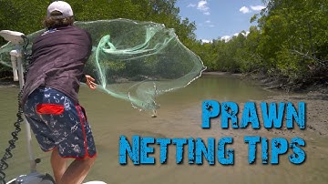 How to Cast Your Net & catch more Prawns! 🍤